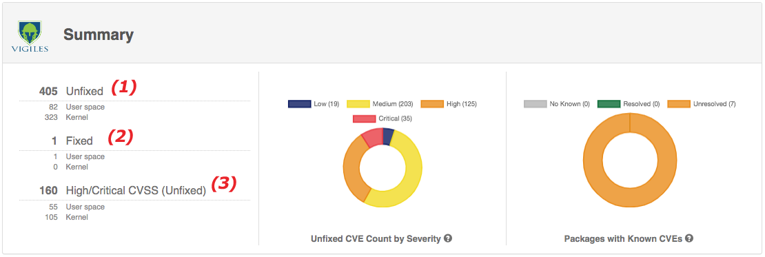 Vigiles CVE dashboard Summary section